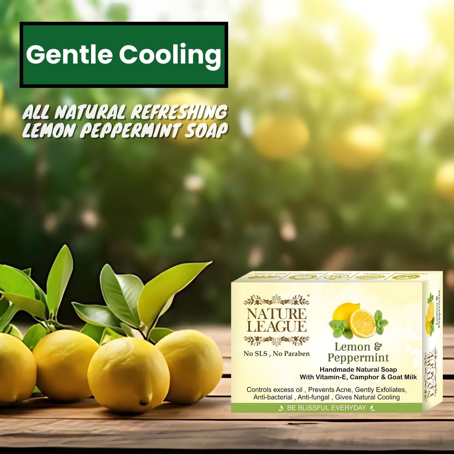 LEMON & PEPPERMINT Natural Skin Nourishing Handmade Soap