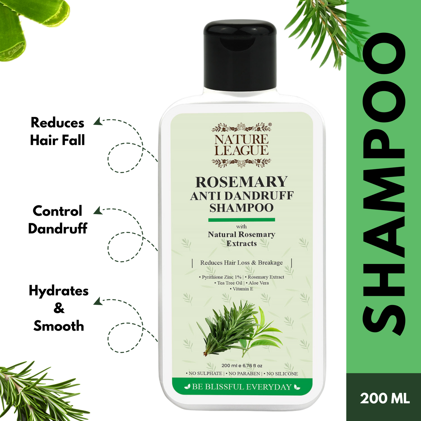 ROSEMARY Anti-Dandruff & Anti-Hair Fall Shampoo + Conditioner Combo Set (Pack of 2)