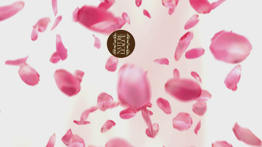 NEEM & BASIL Natural Skin Nourishing Handmade Soap